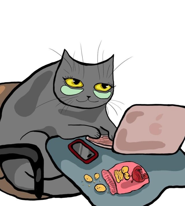 Кошка в нашей повседневности - CO:CREATE