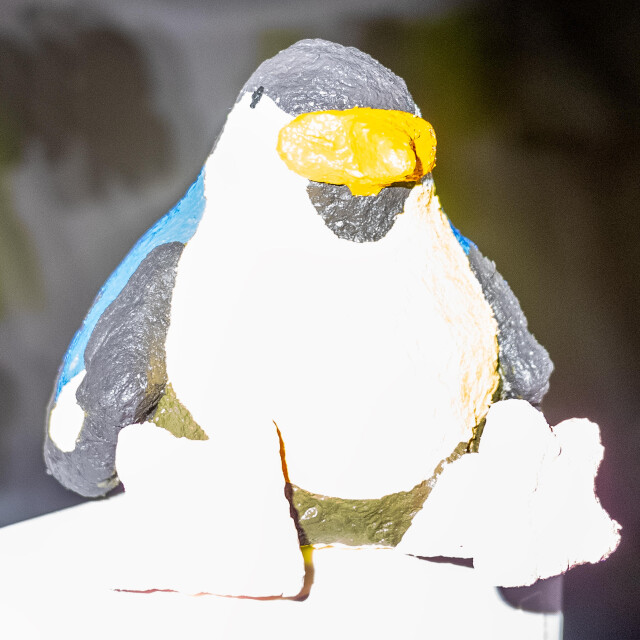 Into The Woods - CO:CREATE 2