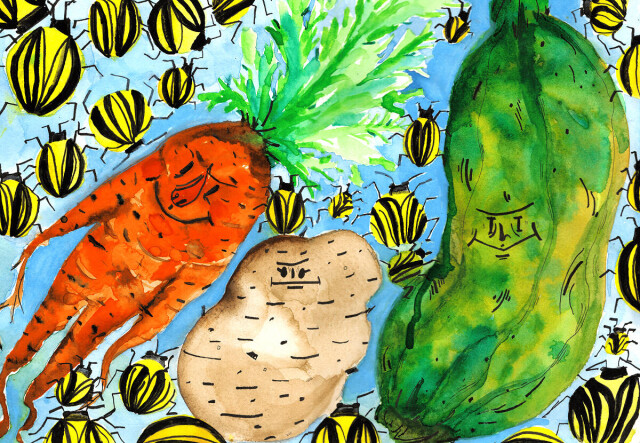 Veggies - CO:CREATE 1