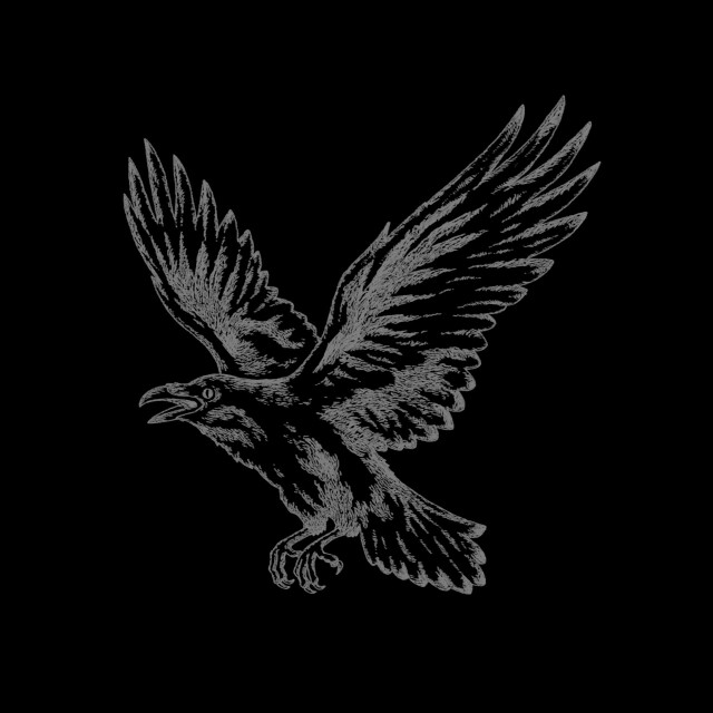 Ворон - CO:CREATE 1