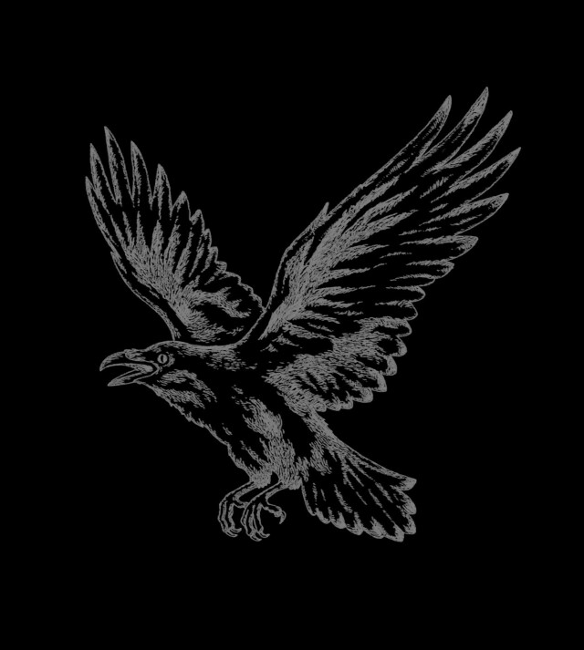 Ворон - CO:CREATE