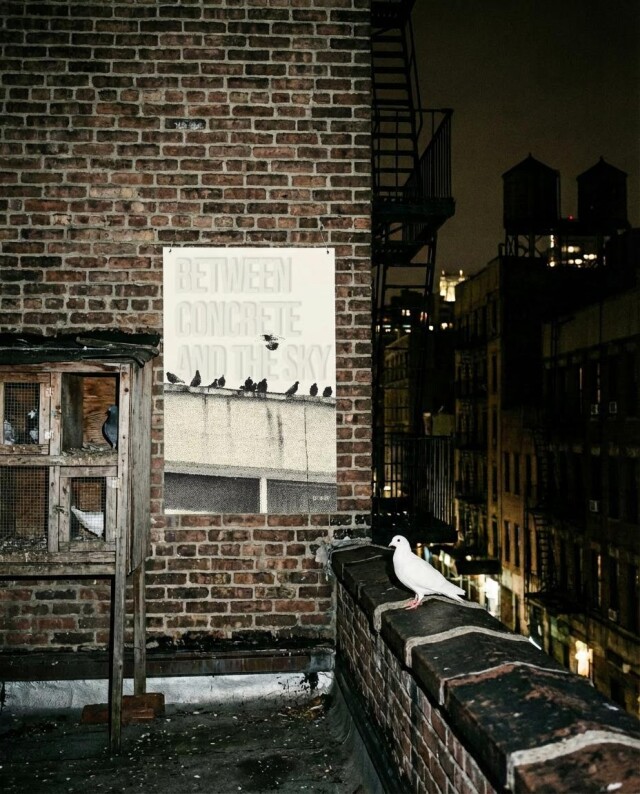 постеры по фотке - CO:CREATE 4