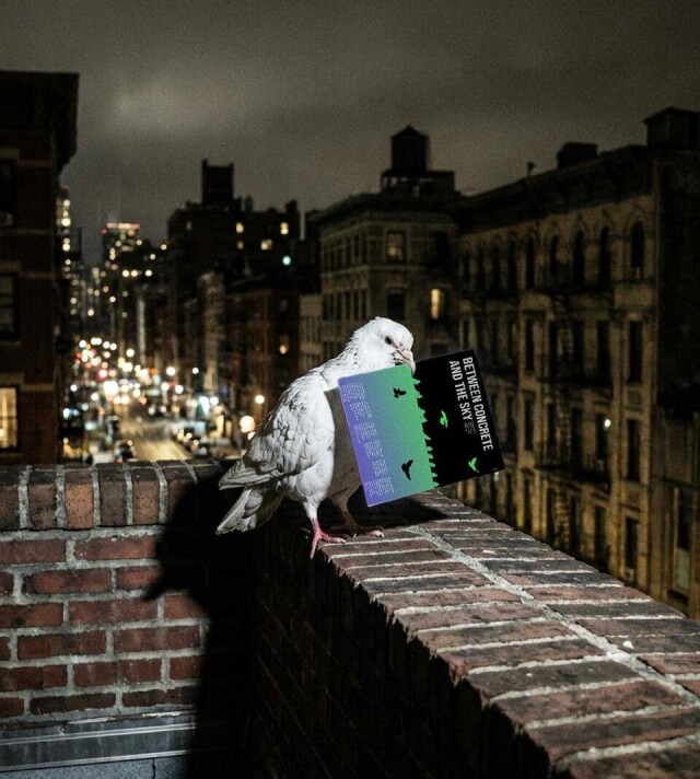 постеры по фотке - CO:CREATE