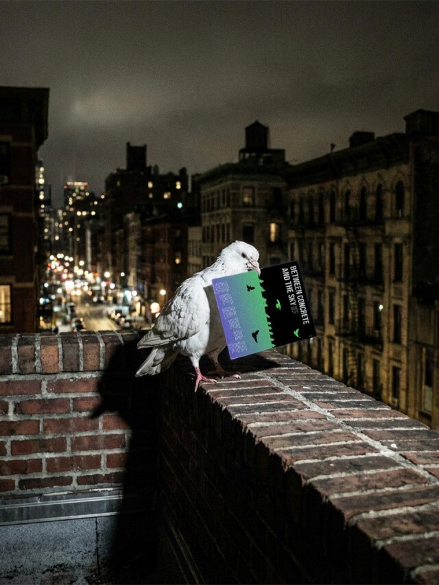 постеры по фотке - CO:CREATE 3