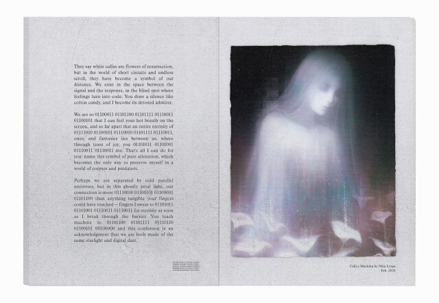 Calli a Machina - CO:CREATE 2