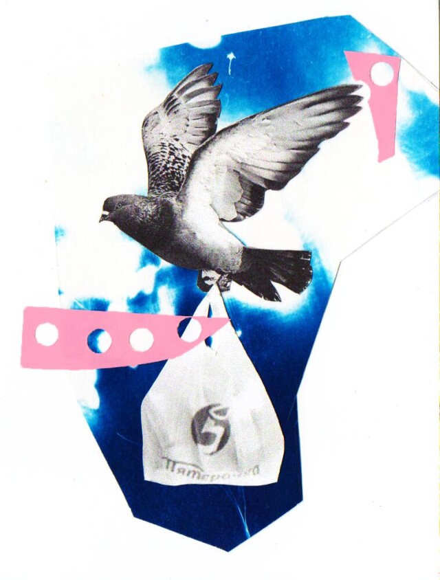 Голубь мира - CO:CREATE 1