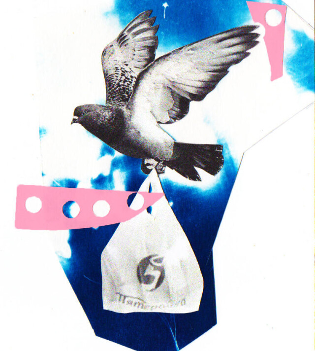 Голубь мира - CO:CREATE