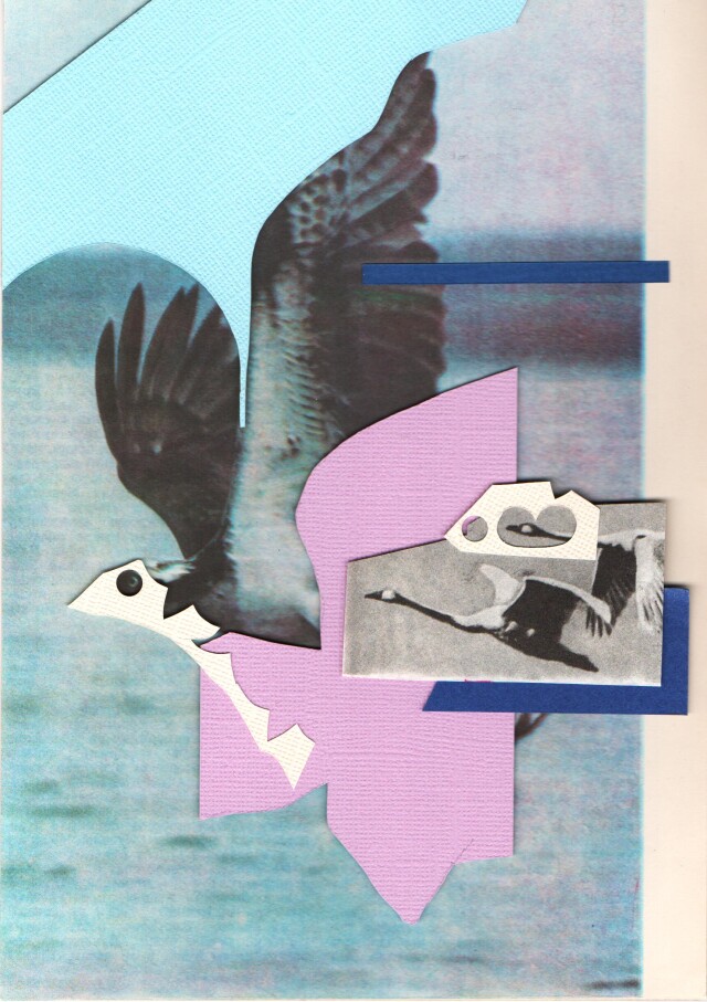 Птица - CO:CREATE 1