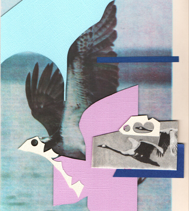 Птица - CO:CREATE