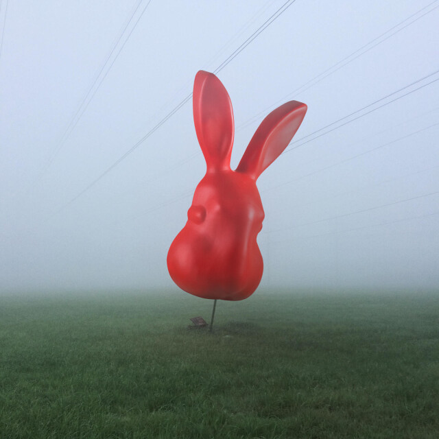 Кролик, ты где? - CO:CREATE 1