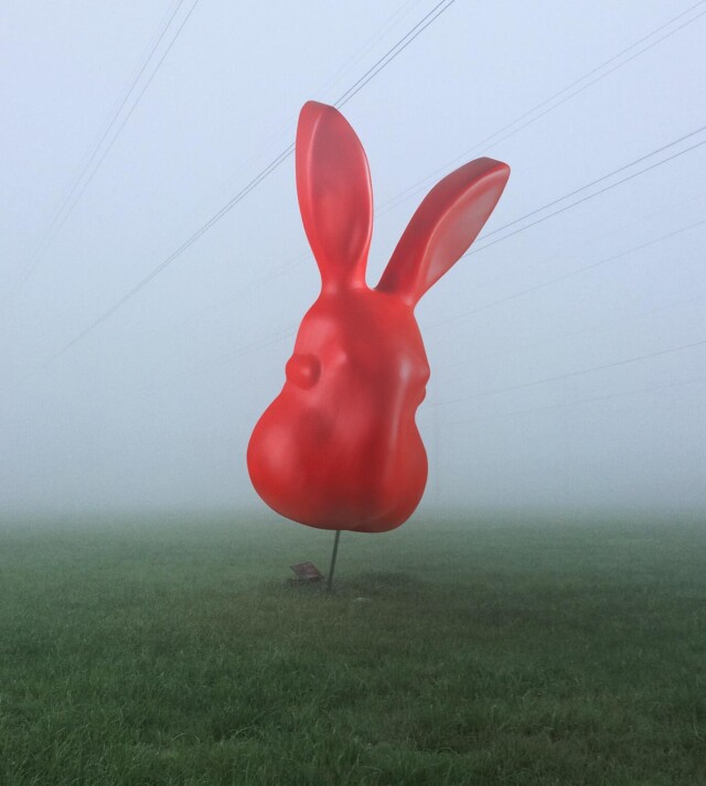 Кролик, ты где? - CO:CREATE