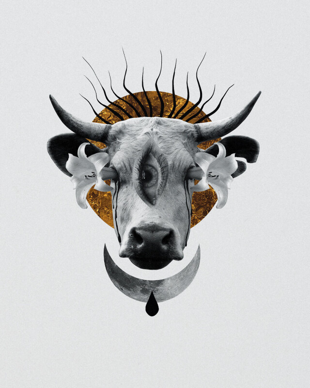 dark_thoughts - CO:CREATE 1