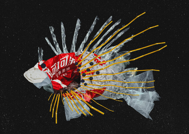 what_you_eat - CO:CREATE 1