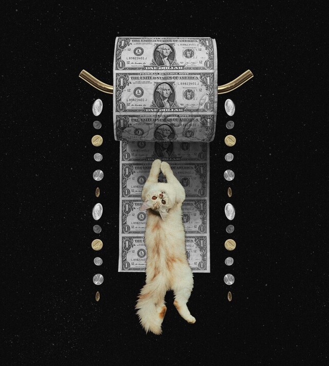 toilet_paper - CO:CREATE