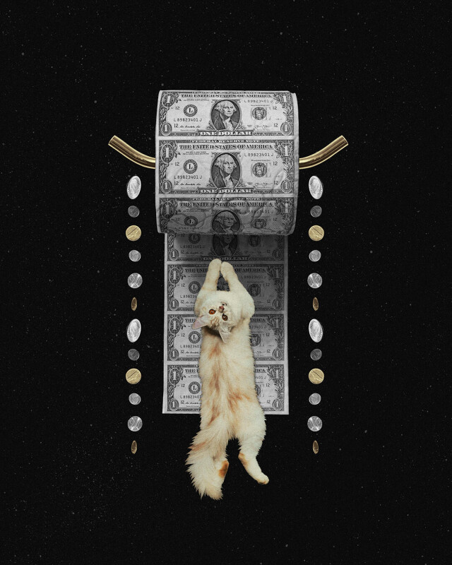 toilet_paper - CO:CREATE 1