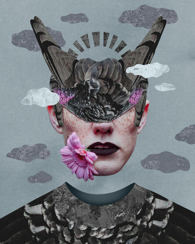 pigeon - CO:CREATE 1