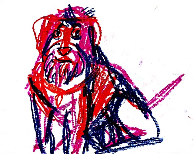 СОБАКИ - CO:CREATE 1