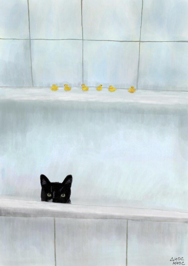 Аши - CO:CREATE 1