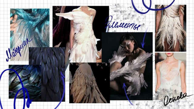 wings. - CO:CREATE 2