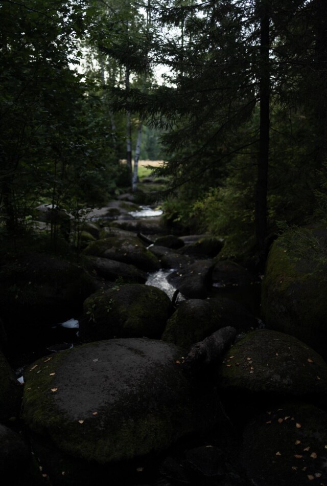 В Уральских лесах - CO:CREATE 4