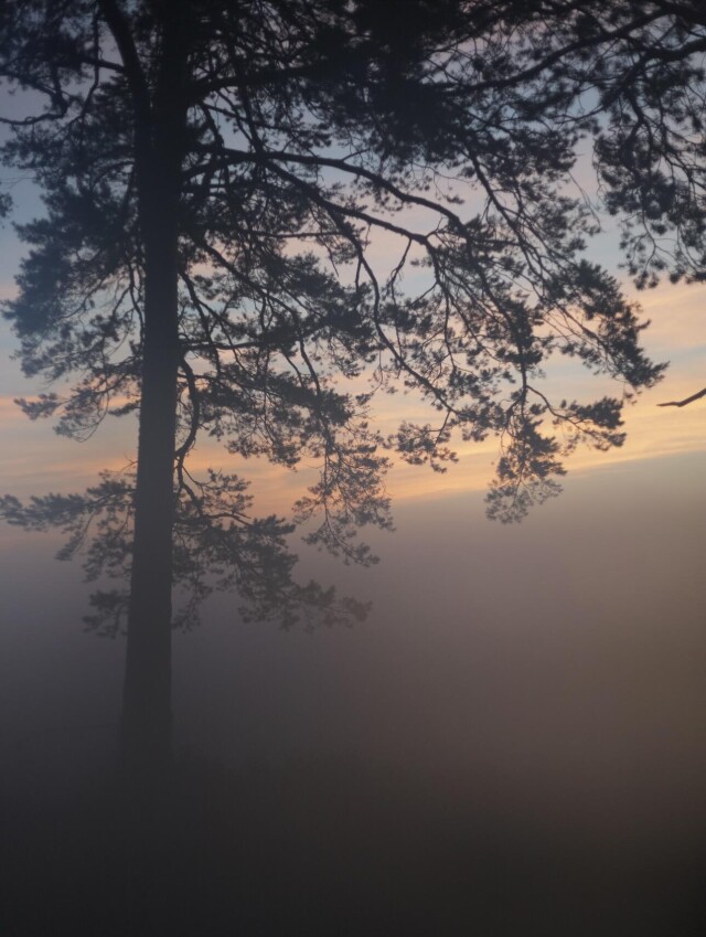 В Уральских лесах - CO:CREATE