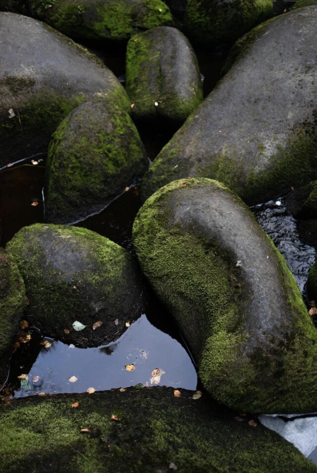 В Уральских лесах - CO:CREATE 3