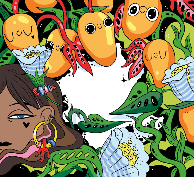 Этикетки для фруктовых сидров - CO:CREATE 1