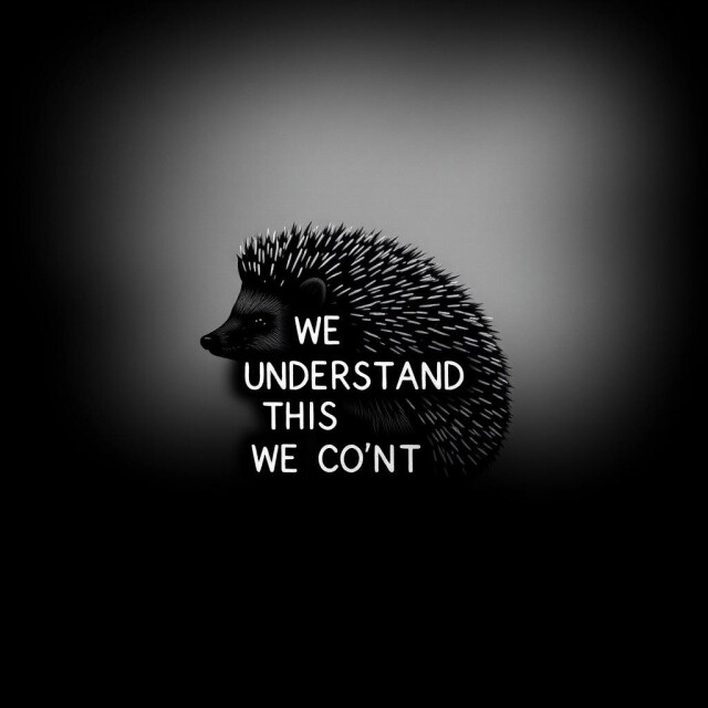 Ежик в тумане - CO:CREATE 1