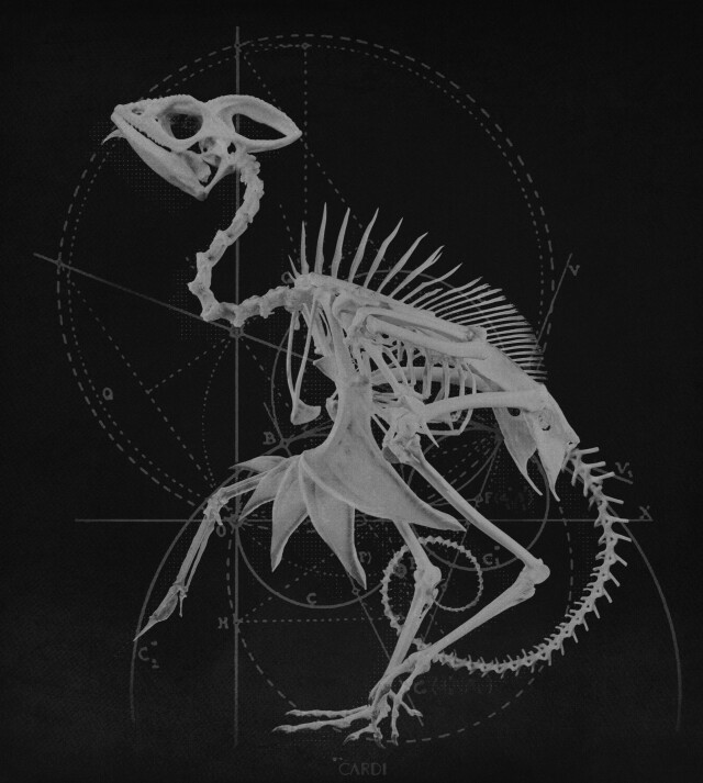 carnivora_3 - CO:CREATE