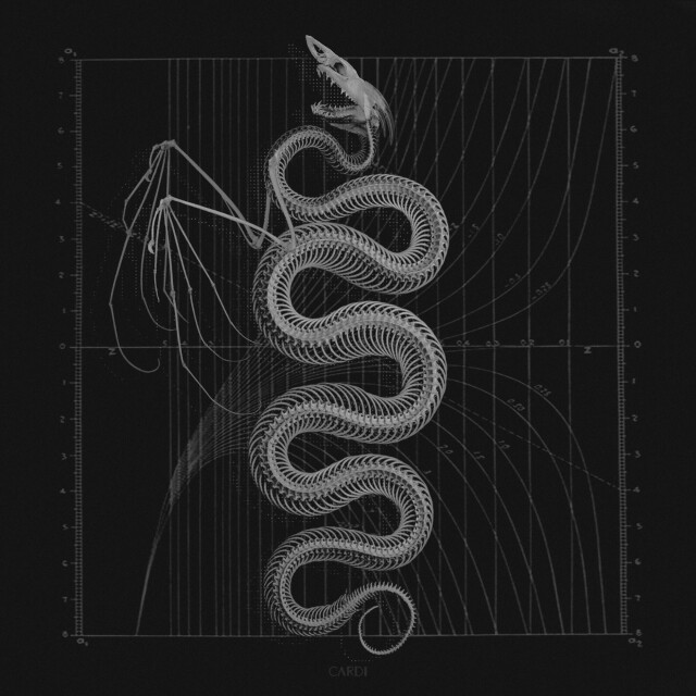 carnivora_6 - CO:CREATE 1