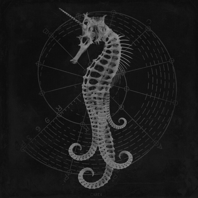 carnivora_7 - CO:CREATE 1