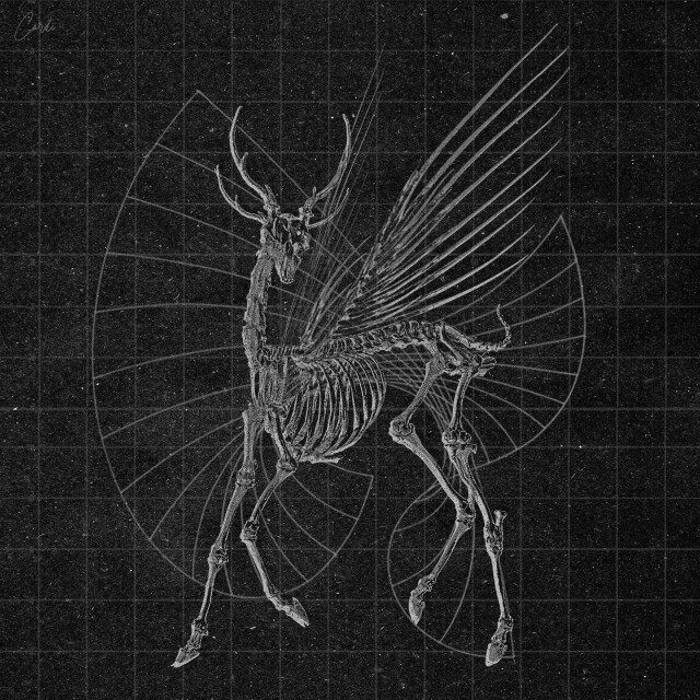 carnivora_9 - CO:CREATE 1