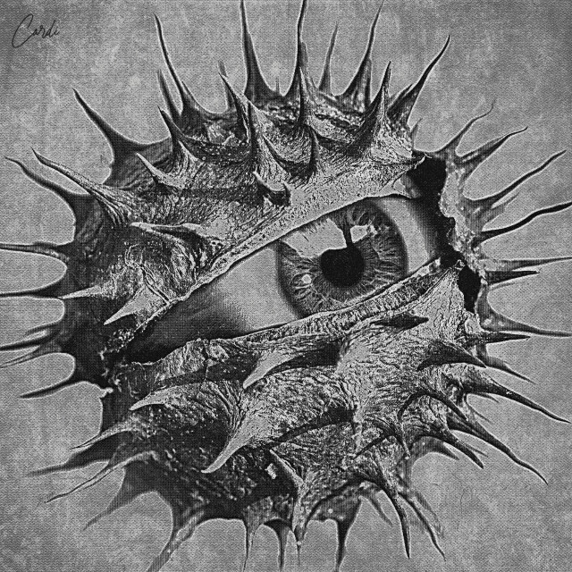 chestnut - CO:CREATE 1