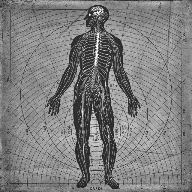 MERIDIANS - CO:CREATE 1