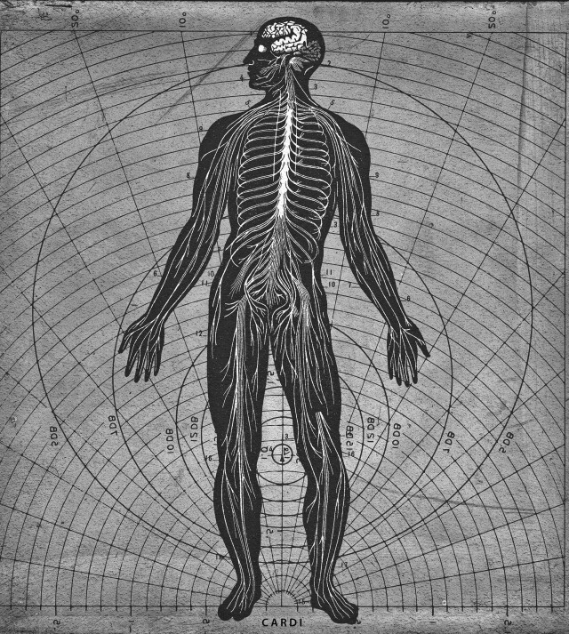 MERIDIANS - CO:CREATE