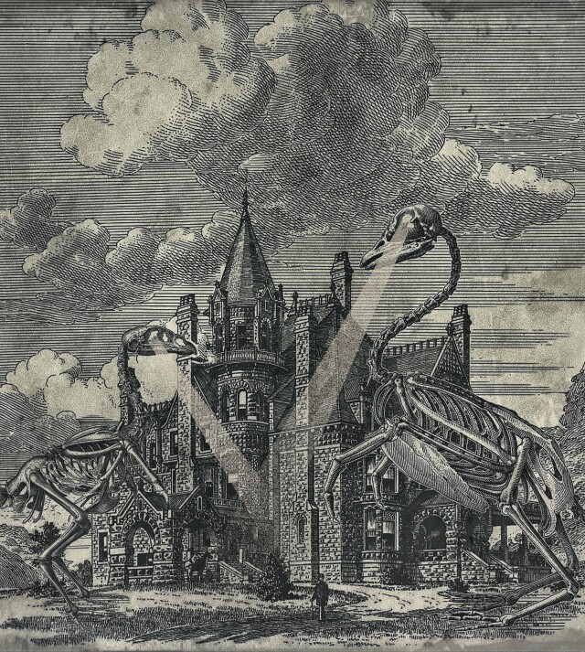 Darwin's Garden - CO:CREATE