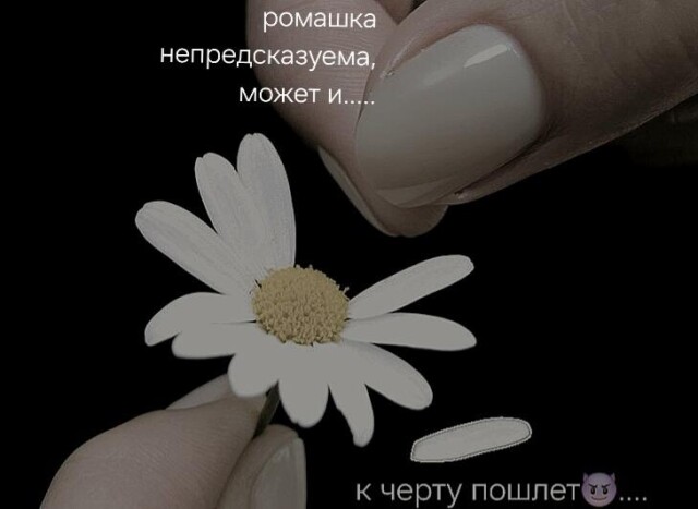 Ромашка - CO:CREATE 1