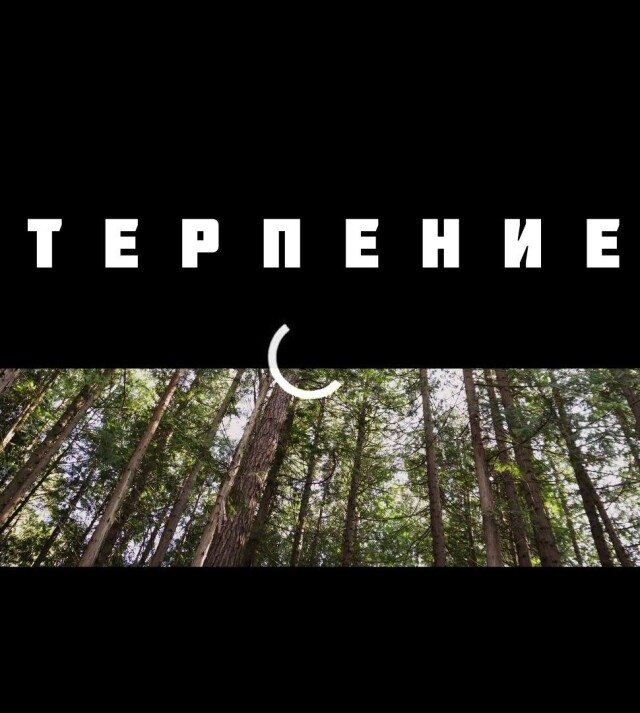 терпение - CO:CREATE
