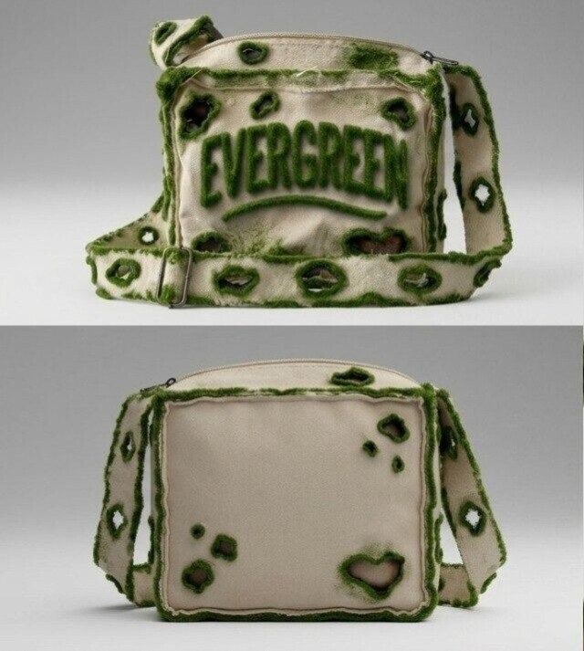 EVERGREEN - CO:CREATE