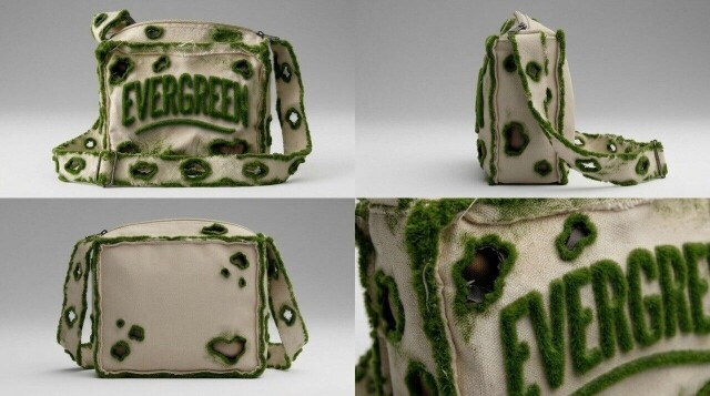 EVERGREEN - CO:CREATE 1