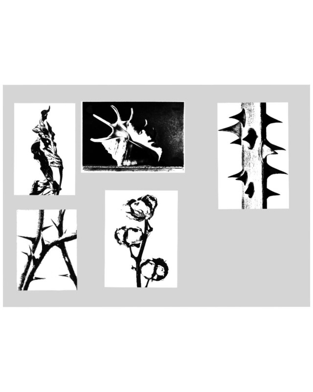 Принты в технике штамп - CO:CREATE 2