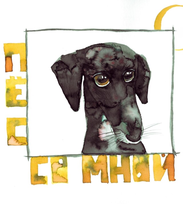 Пес со мной - CO:CREATE