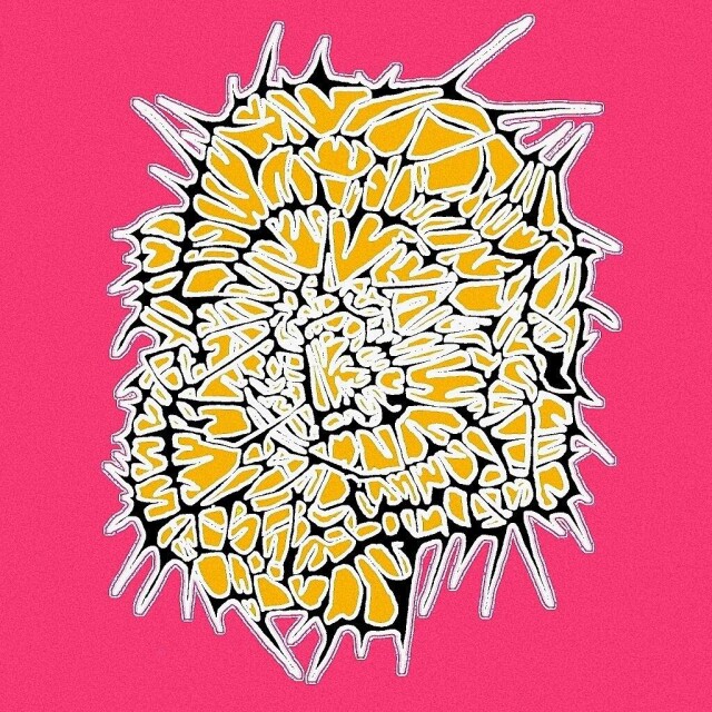 C M P L X - CO:CREATE 1