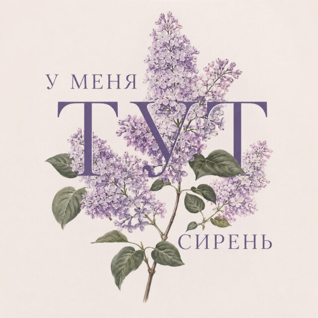 у меня ТУТ сирень - CO:CREATE 1