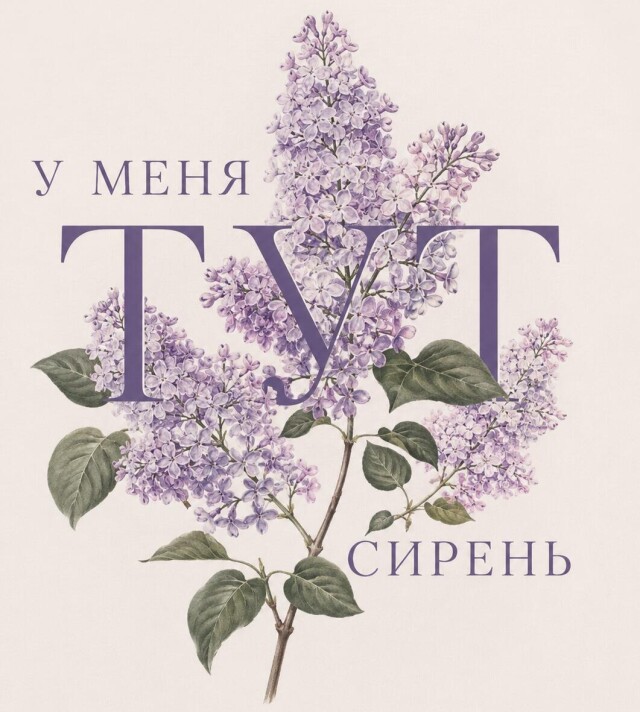 у меня ТУТ сирень - CO:CREATE