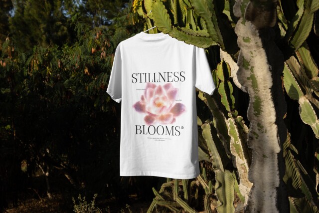 Stillness Blooms - CO:CREATE 3