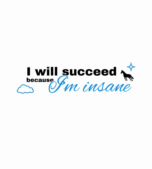 I will succeed because I'm insane - CO:CREATE