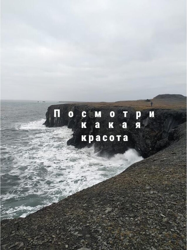 Жизнь = гербарий моментов - CO:CREATE 2