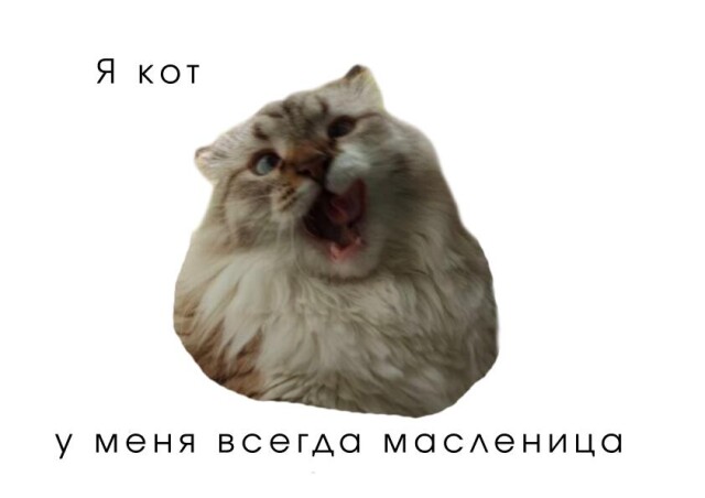 Жизнь = гербарий моментов - CO:CREATE 5