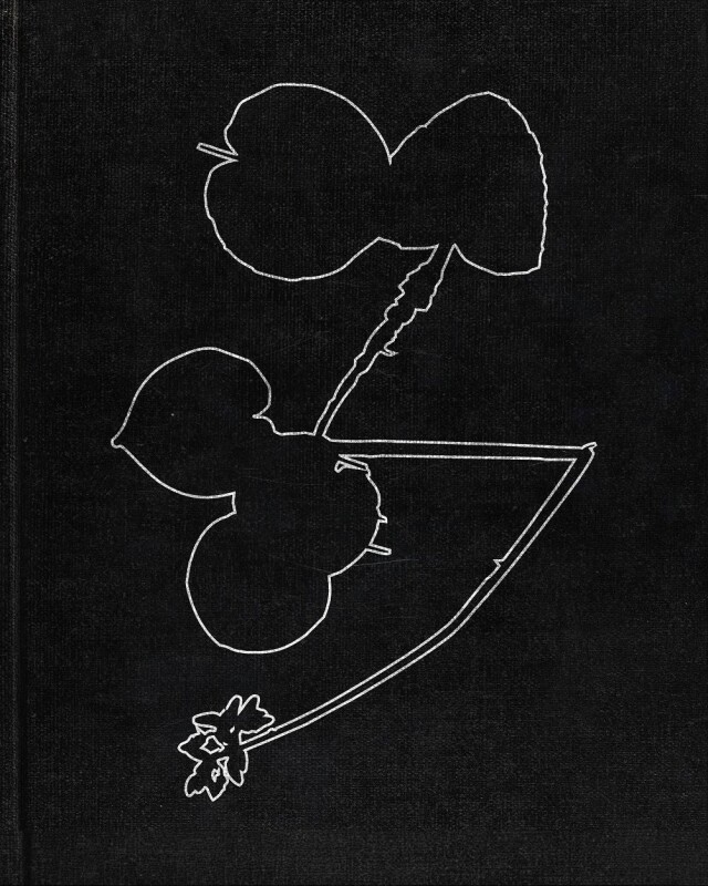 Шрифт Aceae - CO:CREATE 2